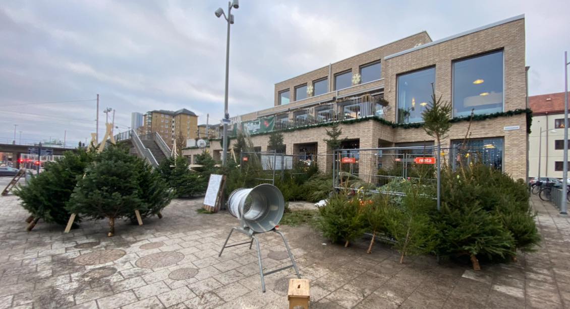 Försäljning av Julgranar